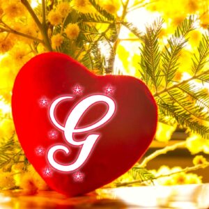 Heart G Name DP Image - Alphabets Whatsapp G Name DP Images
