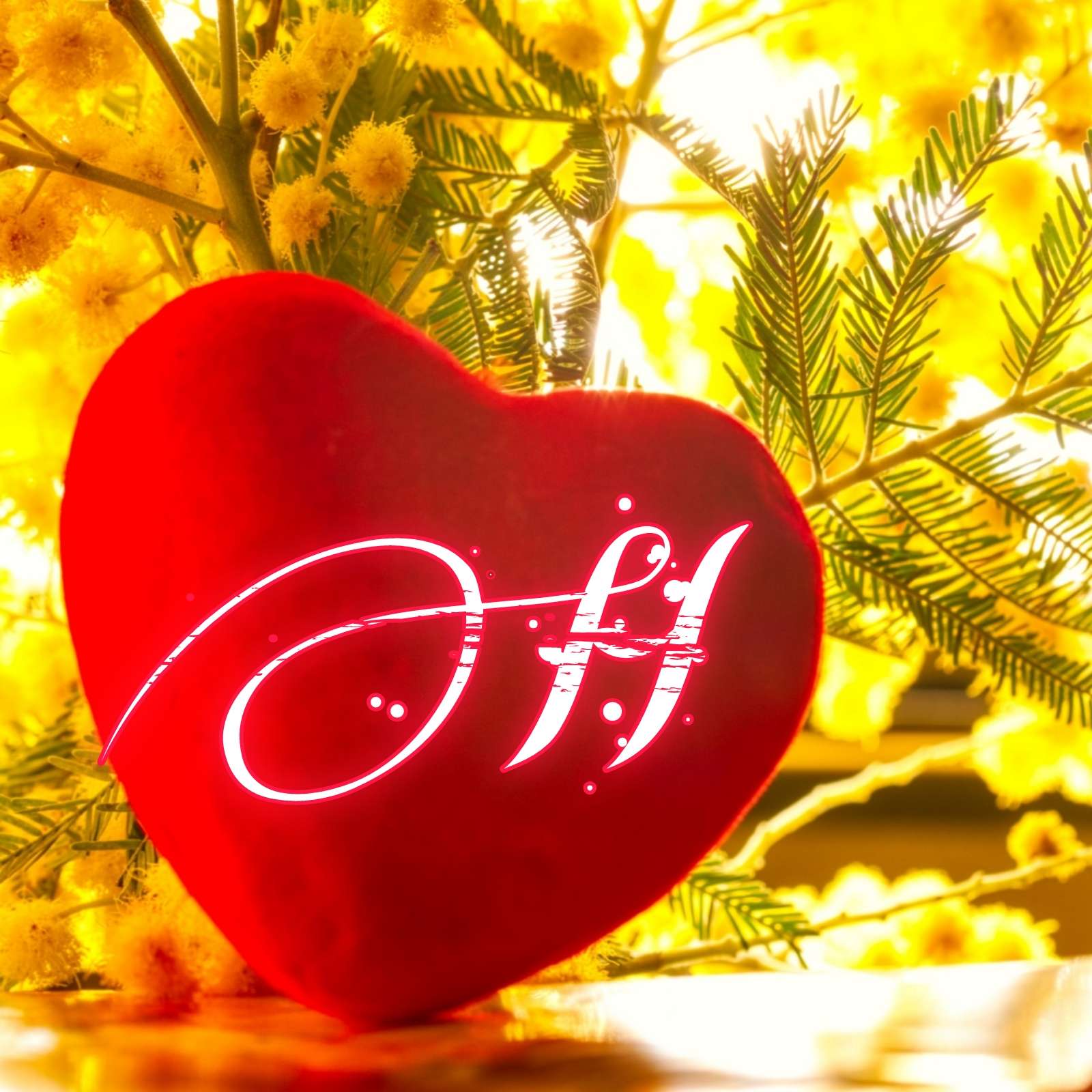 Heart H Name Dp Image - Alphabets Whatsapp H Name DP Images