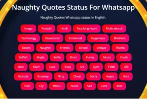 Best Naughty status in English