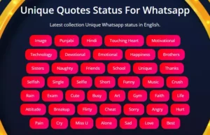 Best Unique status in English