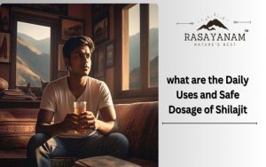 Daily Uses and Safe Dosage of Shilajit