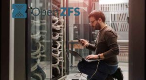Effective ZFS File Recovery